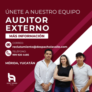 Auditor externo con sombras